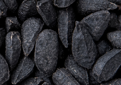 Black Cumin Seed Oil