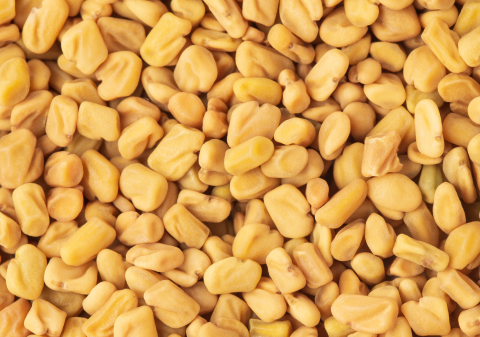 Fenugreek Seed