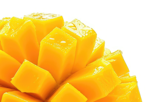 Mango Fruit Extract 